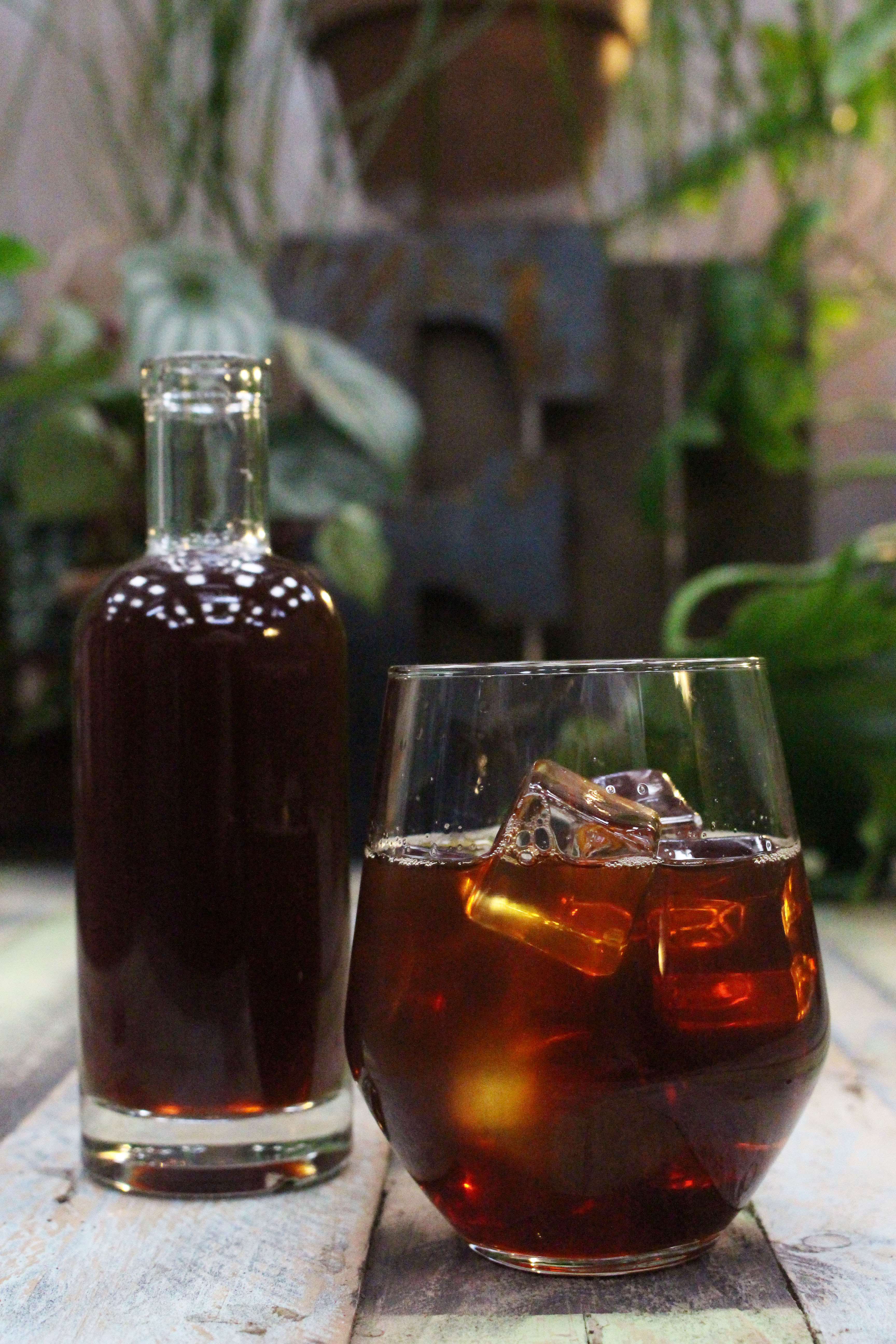Extract Coffee Roasters Cold Brew Coffee Iced Coffee